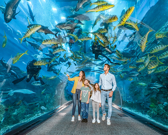 Aquarium Explorer Pass